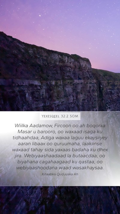 Yexesqeel 32:2 SOM Bible Verse Image