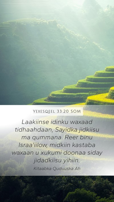 Yexesqeel 33:20 SOM Bible Verse Image