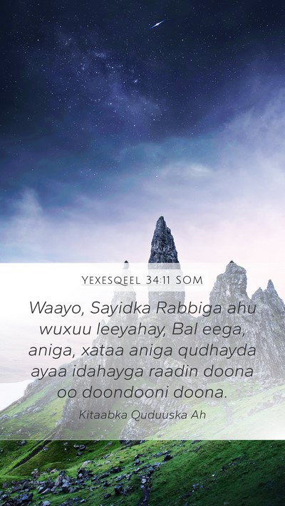 Yexesqeel 34:11 SOM Bible Verse Image