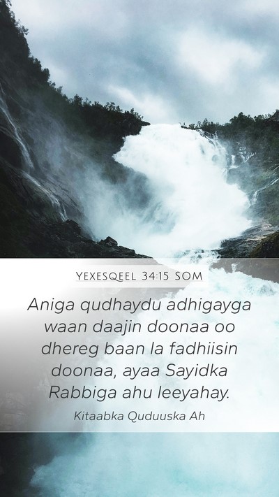 Yexesqeel 34:15 SOM Bible Verse Image