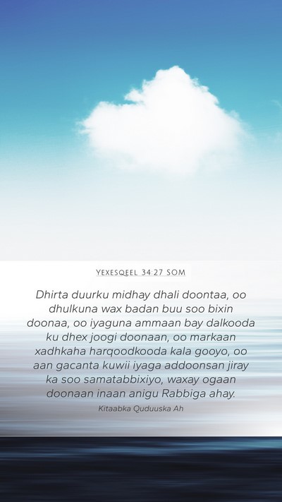 Yexesqeel 34:27 SOM Bible Verse Image