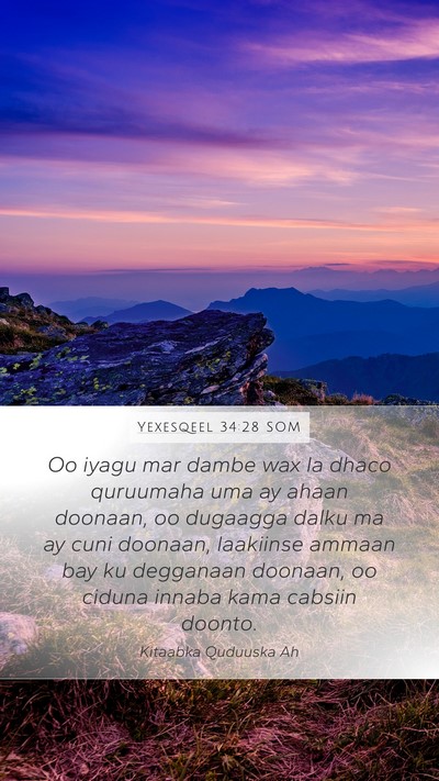 Yexesqeel 34:28 SOM Bible Verse Image