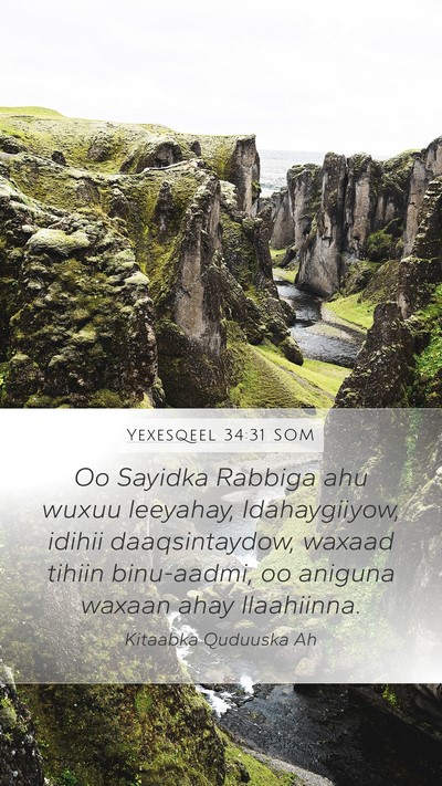 Yexesqeel 34:31 SOM Bible Verse Image