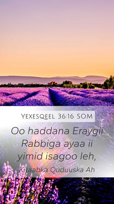 Yexesqeel 36:16 SOM Mobile Phone Wallpaper - Oo haddana Eraygii Rabbiga ayaa ii yimid isagoo - Mobile Bible Verse Wallpaper