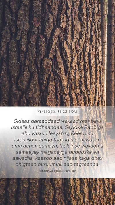 Yexesqeel 36:22 SOM Bible Verse Image