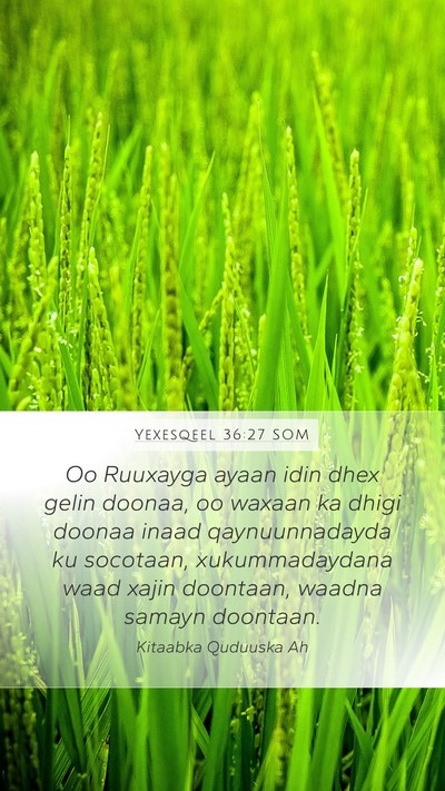 Yexesqeel 36:27 SOM Bible Verse Image