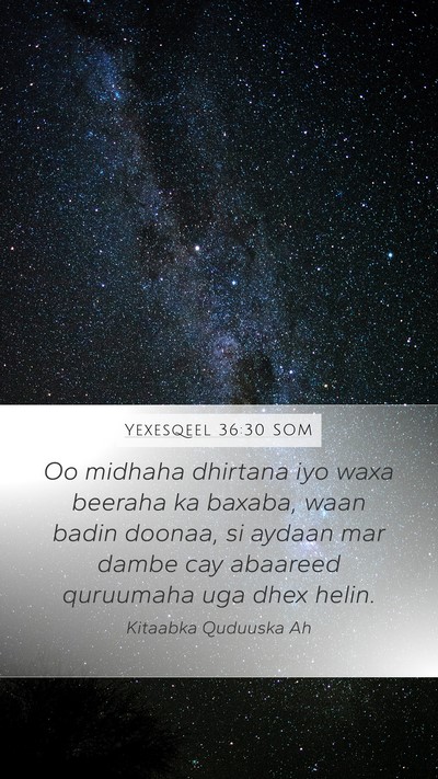 Yexesqeel 36:30 SOM Mobile Phone Wallpaper - Oo midhaha dhirtana iyo waxa beeraha ka baxaba, - Mobile Bible Verse Wallpaper