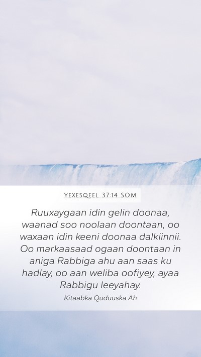 Yexesqeel 37:14 SOM Bible Verse Image