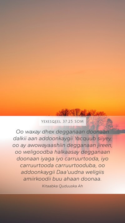 Yexesqeel 37:25 SOM Bible Verse Image