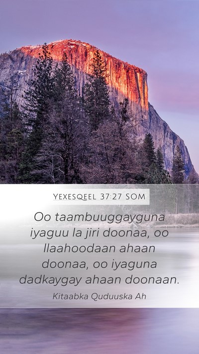 Yexesqeel 37:27 SOM Bible Verse Image