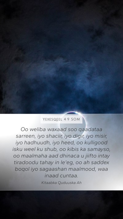 Yexesqeel 4:9 SOM Bible Verse Image