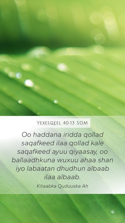 Yexesqeel 40:13 SOM Mobile Phone Wallpaper - Oo haddana iridda qollad saqafkeed ilaa qollad - Mobile Bible Verse Wallpaper