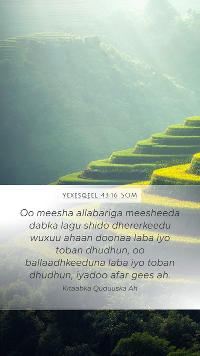 Yexesqeel 43:16 SOM Mobile Phone Wallpaper - Oo meesha allabariga meesheeda dabka lagu shido - Mobile Bible Verse Wallpaper