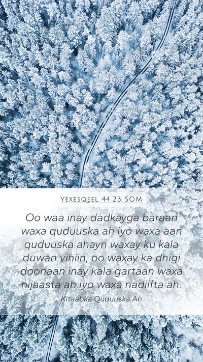 Yexesqeel 44:23 SOM Bible Verse Image