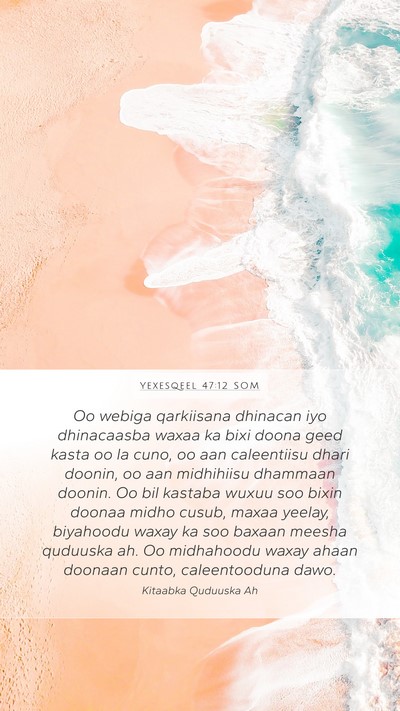 Yexesqeel 47:12 SOM Bible Verse Image