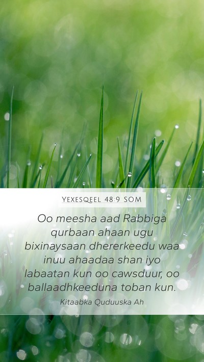 Yexesqeel 48:9 SOM Bible Verse Image