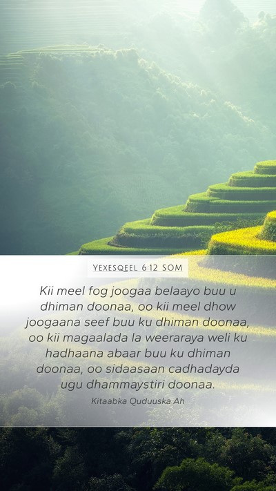 Yexesqeel 6:12 SOM Bible Verse Image