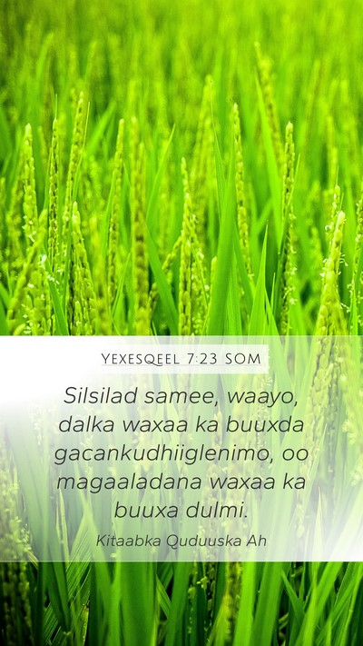Yexesqeel 7:23 SOM Bible Verse Image