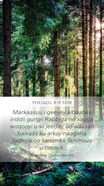 Yexesqeel 8:14 SOM Bible Verse Image
