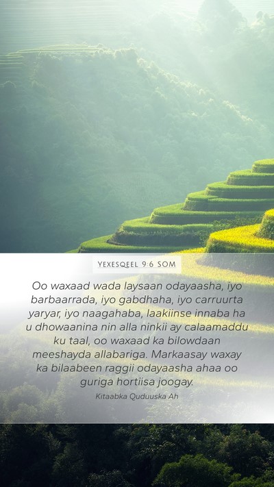 Yexesqeel 9:6 SOM Bible Verse Image