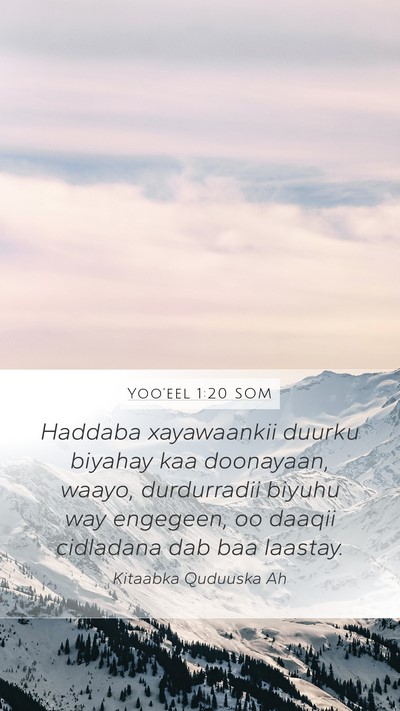 Yoo'eel 1:20 SOM Bible Verse Image