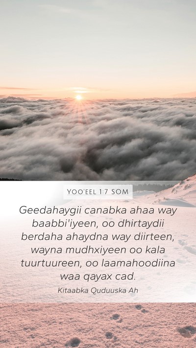 Yoo'eel 1:7 SOM Bible Verse Image
