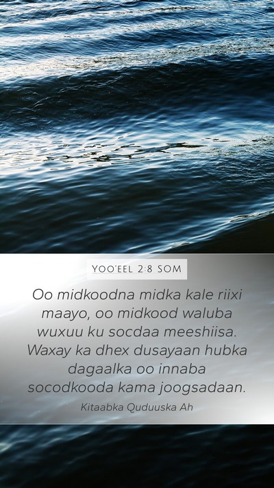 Yoo'eel 2:8 SOM Mobile Phone Wallpaper - Oo midkoodna midka kale riixi maayo, oo midkood - Mobile Bible Verse Wallpaper