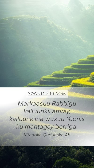 Yoonis 2:10 SOM Bible Verse Image
