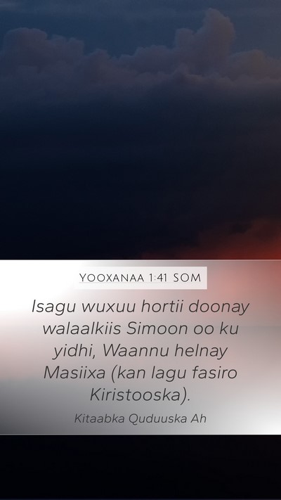 Yooxanaa 1:41 SOM Bible Verse Image
