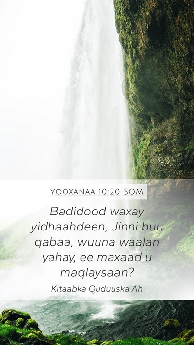 Yooxanaa 10:20 SOM Bible Verse Image