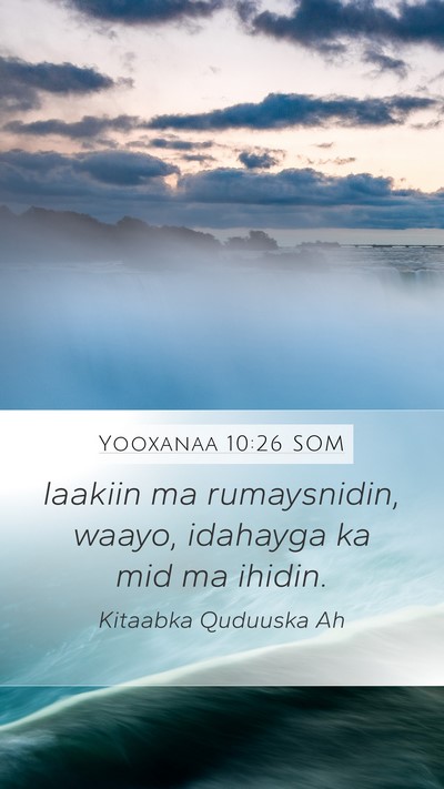 Yooxanaa 10:26 SOM Bible Verse Image