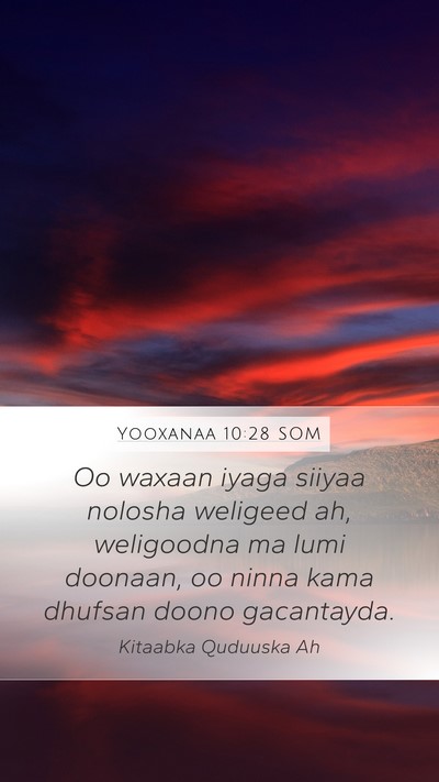 Yooxanaa 10:28 SOM Bible Verse Image
