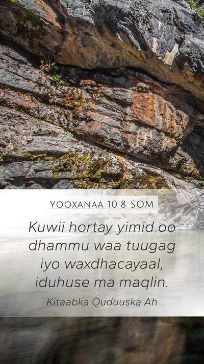 Yooxanaa 10:8 SOM Bible Verse Image