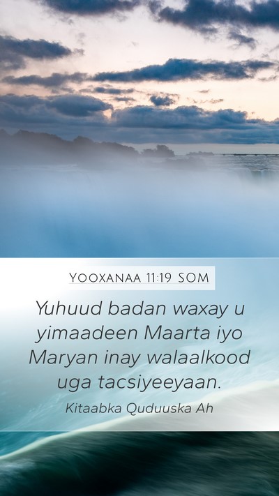 Yooxanaa 11:19 SOM Bible Verse Image