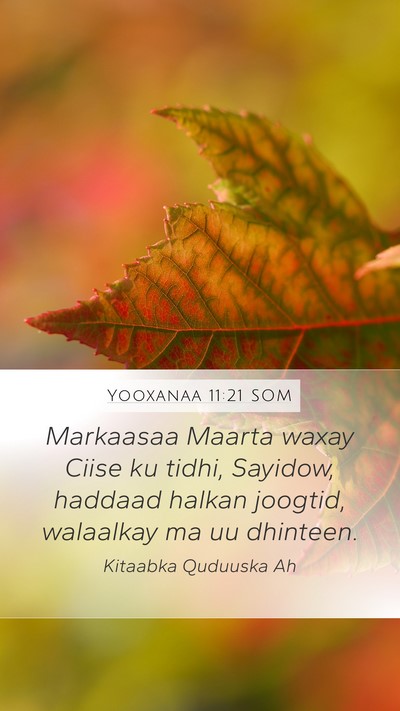 Yooxanaa 11:21 SOM Bible Verse Image