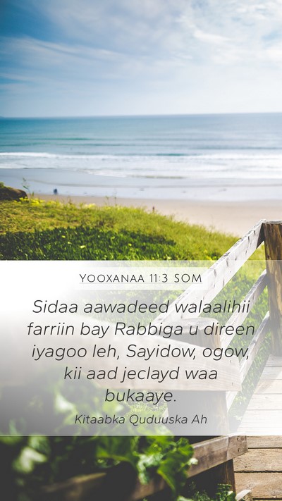 Yooxanaa 11:3 SOM Bible Verse Image