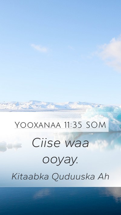 Yooxanaa 11:35 SOM Bible Verse Image