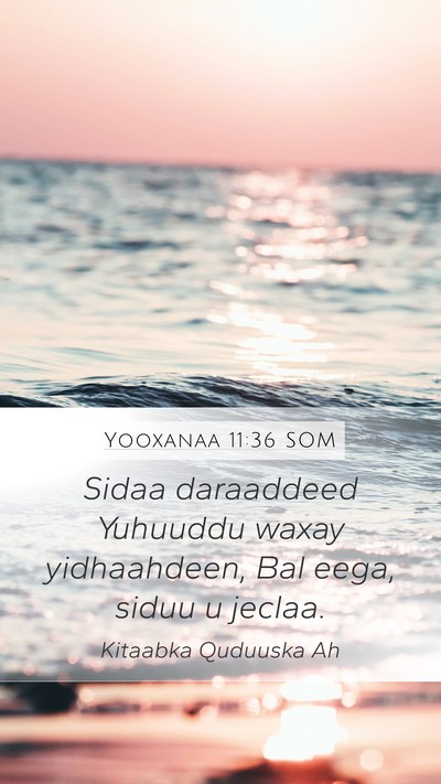 Yooxanaa 11:36 SOM Bible Verse Image