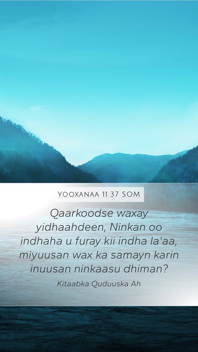 Yooxanaa 11:37 SOM Bible Verse Image
