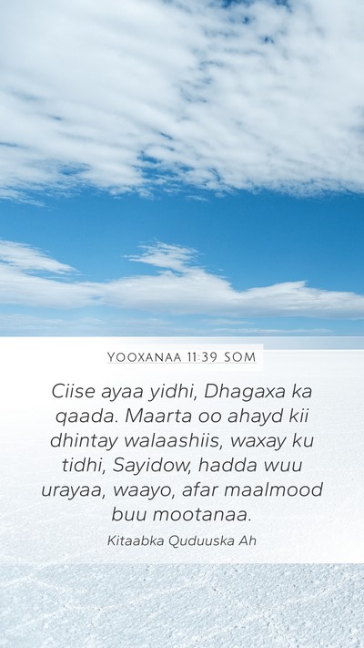 Yooxanaa 11:39 SOM Bible Verse Image
