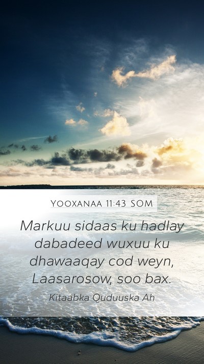 Yooxanaa 11:43 SOM Bible Verse Image