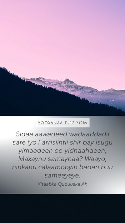 Yooxanaa 11:47 SOM Bible Verse Image