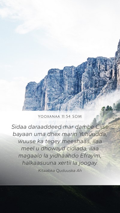 Yooxanaa 11:54 SOM Bible Verse Image