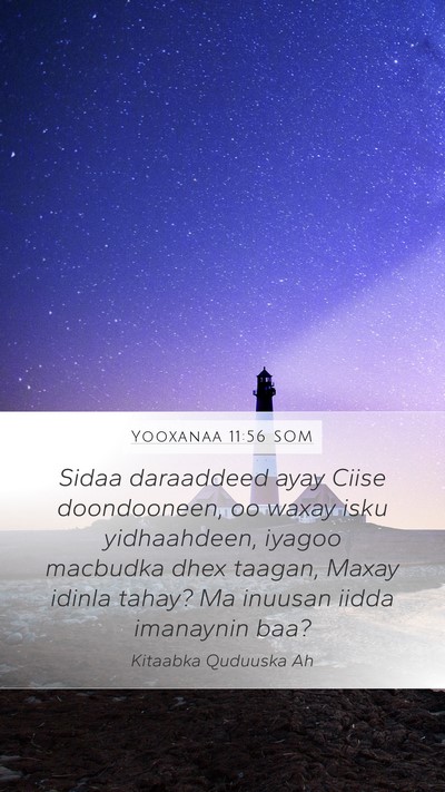 Yooxanaa 11:56 SOM Bible Verse Image