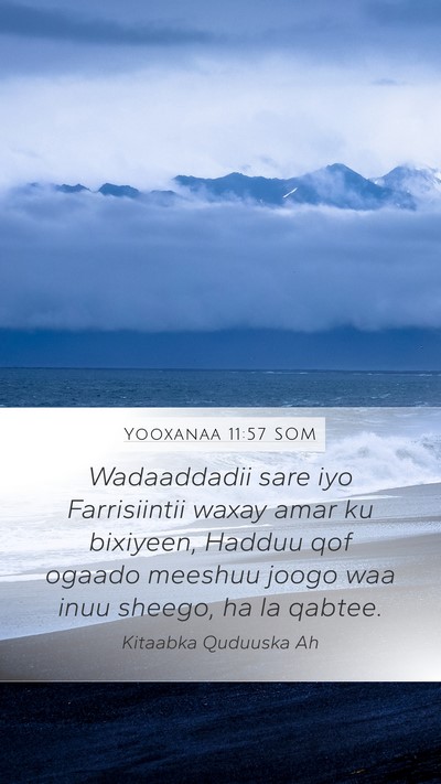 Yooxanaa 11:57 SOM Bible Verse Image