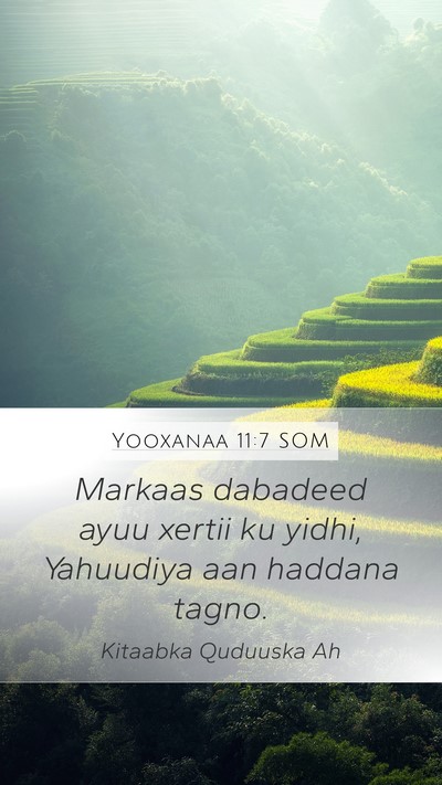 Yooxanaa 11:7 SOM Bible Verse Image