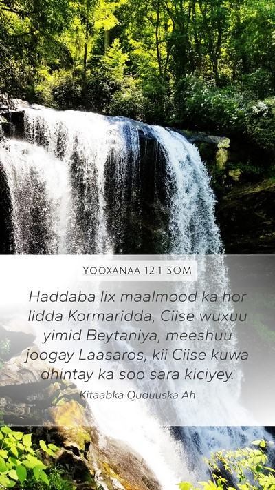 Yooxanaa 12:1 SOM Mobile Phone Wallpaper - Haddaba lix maalmood ka hor Iidda Kormaridda, - Mobile Bible Verse Wallpaper