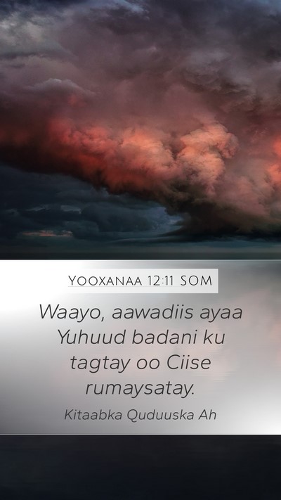 Yooxanaa 12:11 SOM Mobile Phone Wallpaper - Waayo, aawadiis ayaa Yuhuud badani ku tagtay oo - Mobile Bible Verse Wallpaper