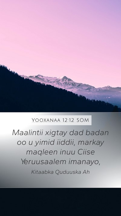 Yooxanaa 12:12 SOM Bible Verse Image