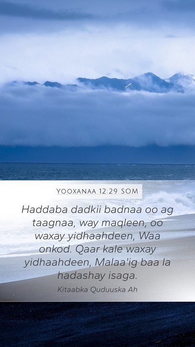 Yooxanaa 12:29 SOM Bible Verse Image